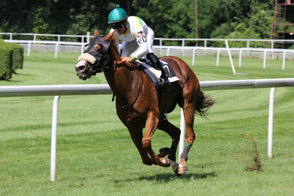 Boxing Day Horse Racing